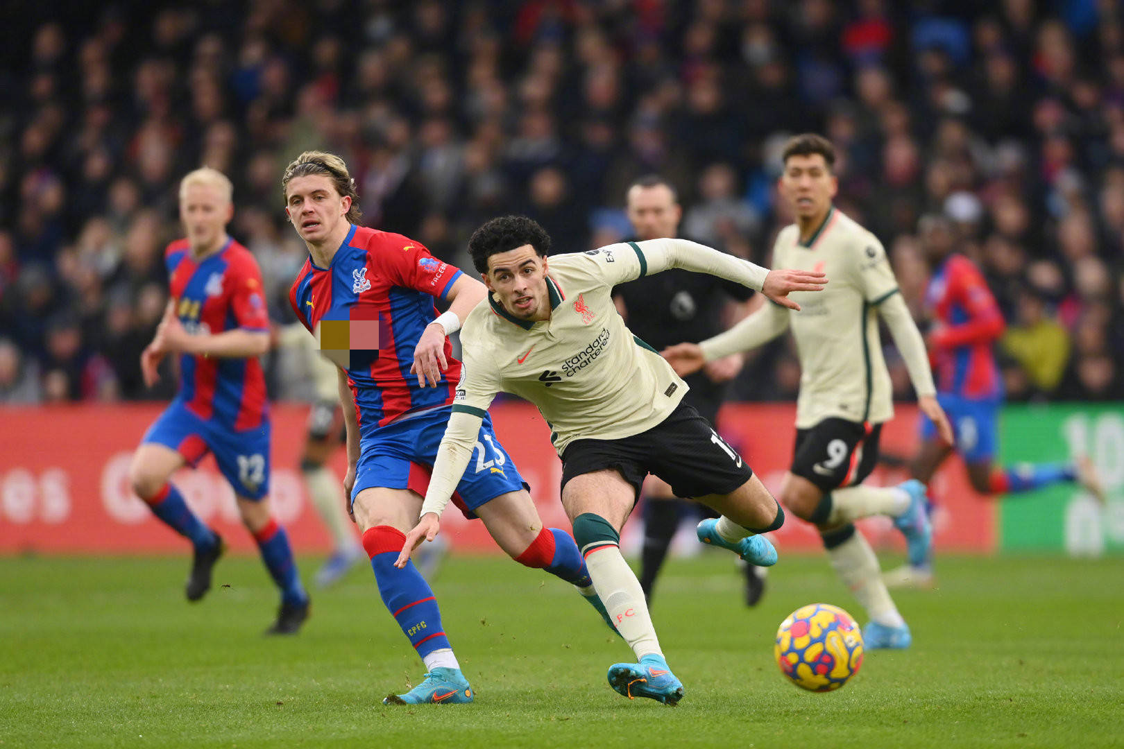 竞后表现出 竞后表现出